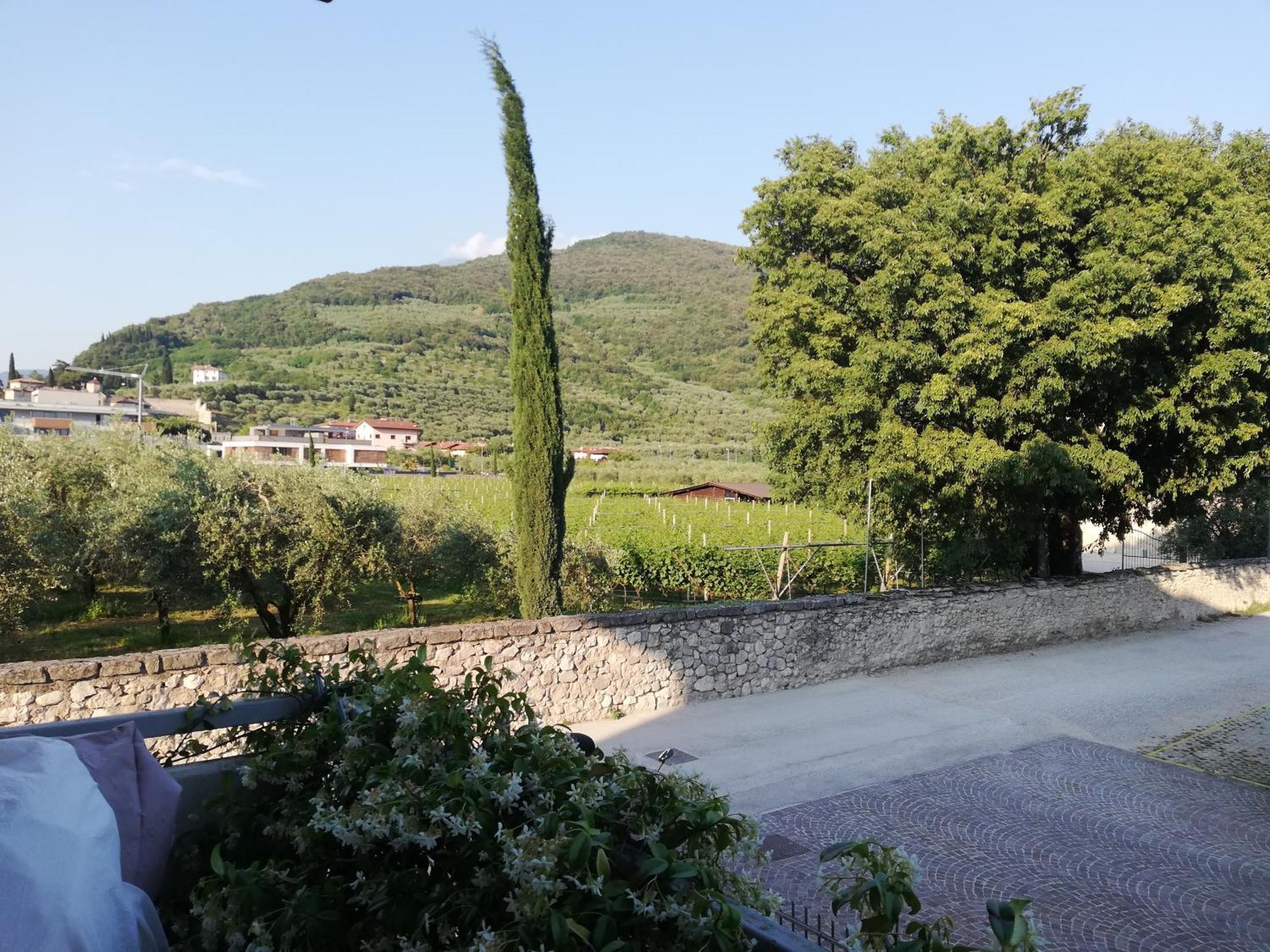 Casa Degli Olivi Garda * Riva del Garda