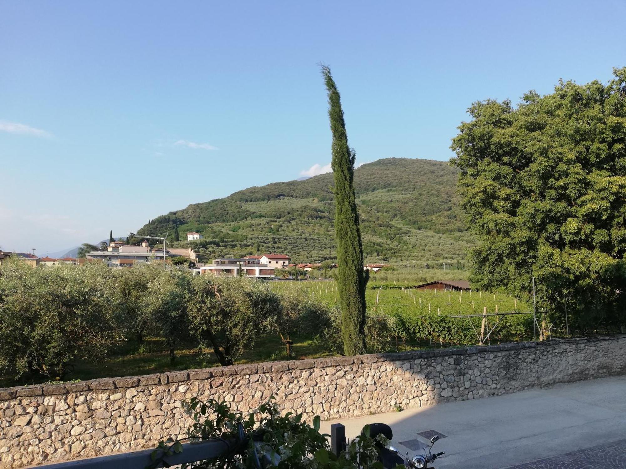 Casa Degli Olivi Garda Appartamento