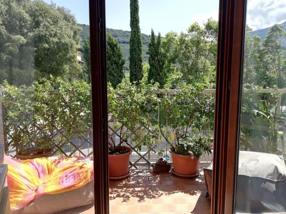Casa Degli Olivi Garda * Riva del Garda