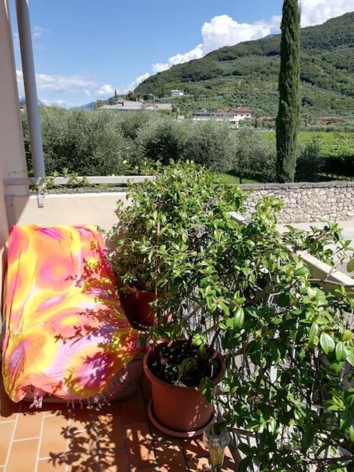 Casa Degli Olivi Garda Riva del Garda